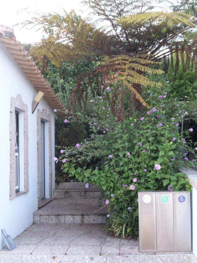Casal De S.Romao Do Meio Guimaraes Ngoại thất bức ảnh